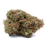 Cream Cookies THCa Hemp Flower - Plants